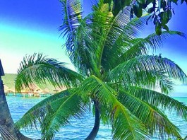 Pronta para  as férias